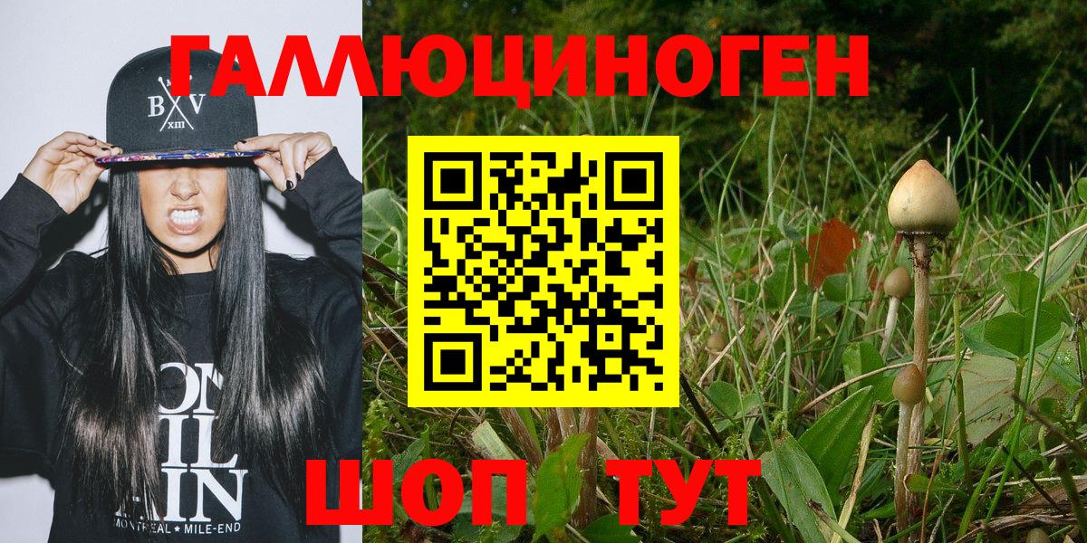 Коломна  Псилоцибиновые грибы ЛСД  Вход с VPN 