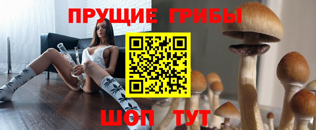 Галлюциногенные грибы Cubensis Коломна